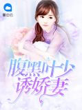 腹黑叶少诱娇妻叶子苏