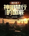 向往华夏：我打造了神明禁行的国家
