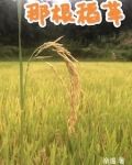那根稻草 一般是表达什么