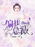 偏执总裁伪萌妻慕雨权北琛