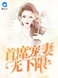 首席宠妻无下限林宙辰