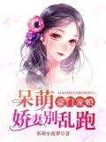 豪门宠婚：呆萌娇妻别乱跑
