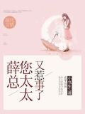 薛总，您太太又惹事了
