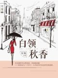 白领秋香
