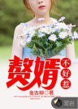 赘婿不好惹