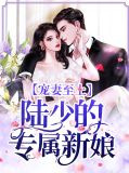宠妻至上：陆少的专属新娘莫依楠陆擎琛