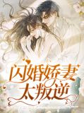 闪婚娇妻太叛逆卫敏敏顾墨璟